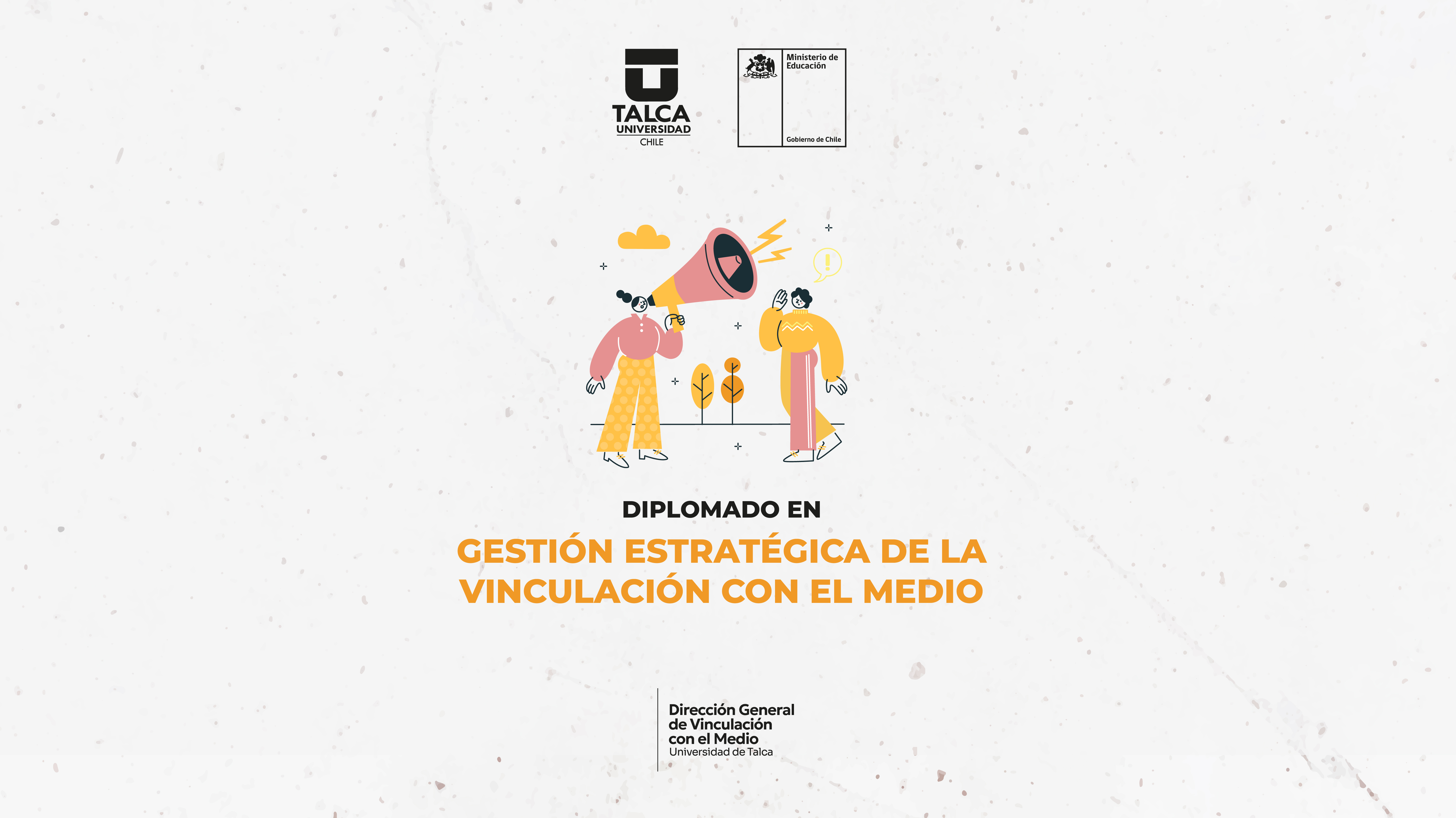 Diplomado en Gestión Estratégica de la Vinculación con el Medio (2025)